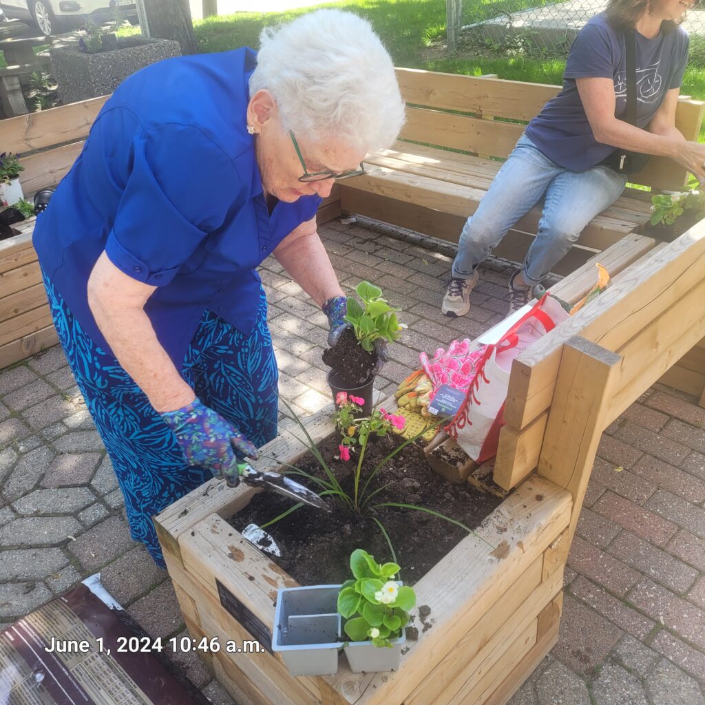 Tenant Volunteer Norah plants annuals.